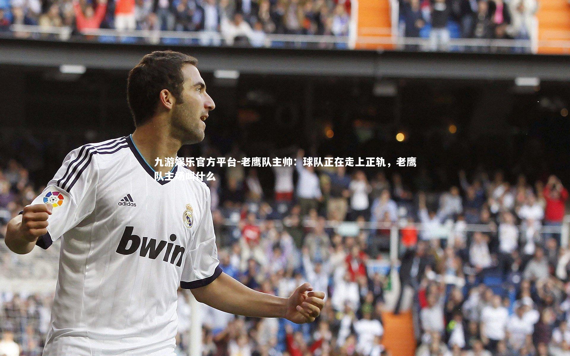 老鹰队主帅:球队正在走上正轨,老鹰队主场叫什么